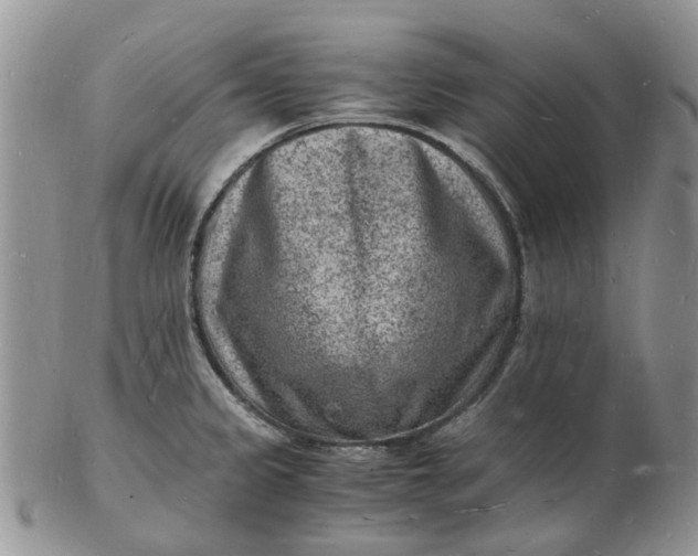 X0000102781333200809021043