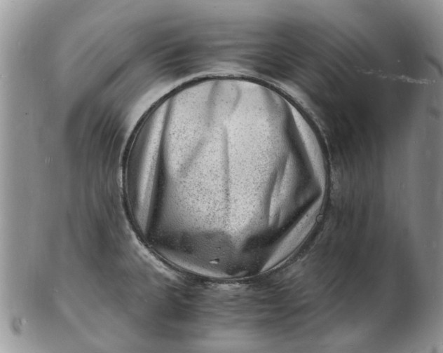 X0000102781335200809021043