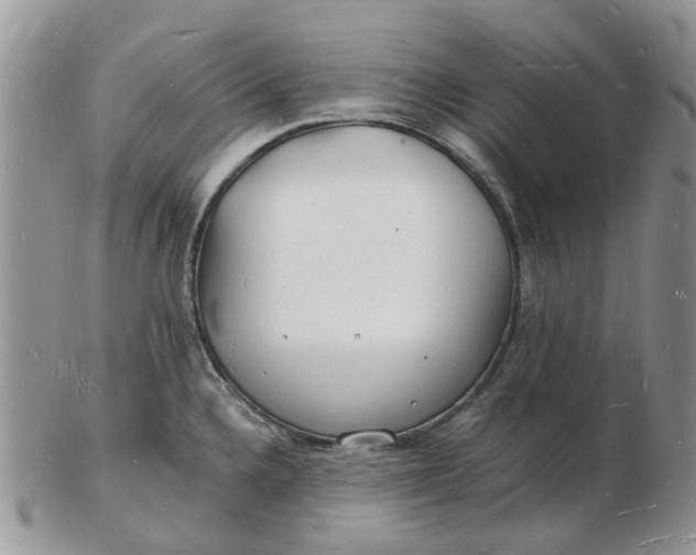 X0000102781336200809021043