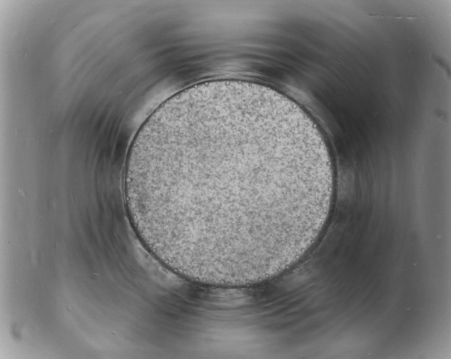 X0000102781338200809021044