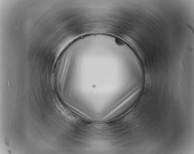 X0000102781340200809021044