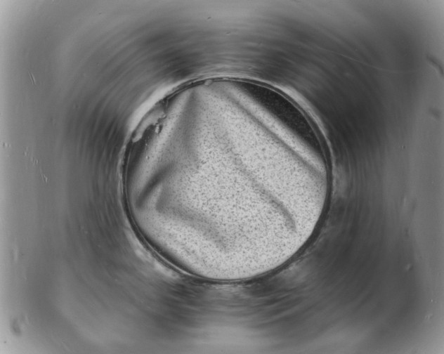 X0000102781341200809021044