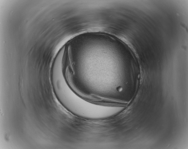 X0000102781342200809021044