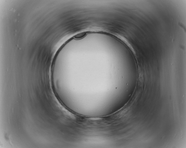 X0000102781343200809021044