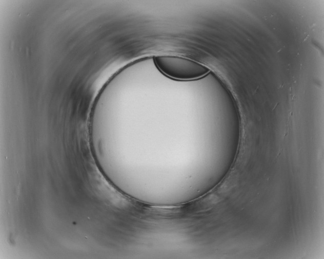 X0000102781344200809021044