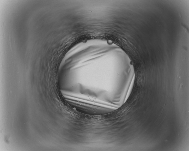 X0000102781345200809021043