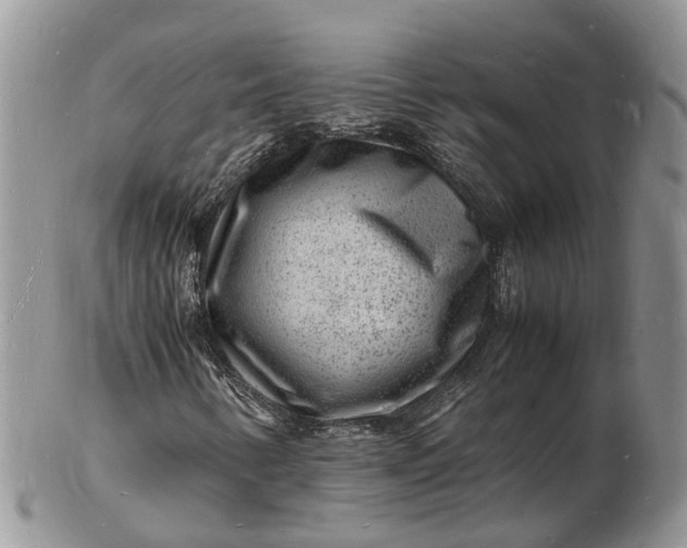 X0000102781346200809021043