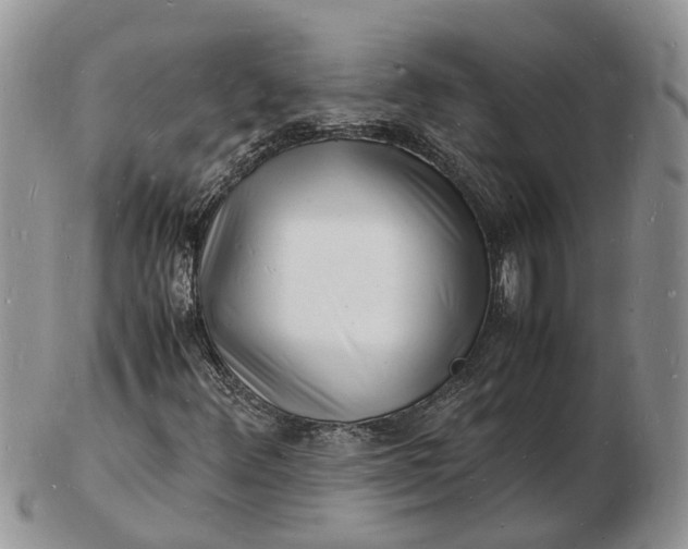 X0000102781348200809021043