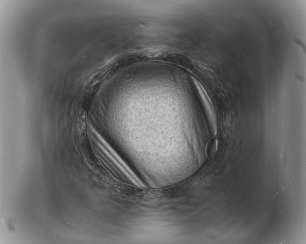 X0000102781349200809021043