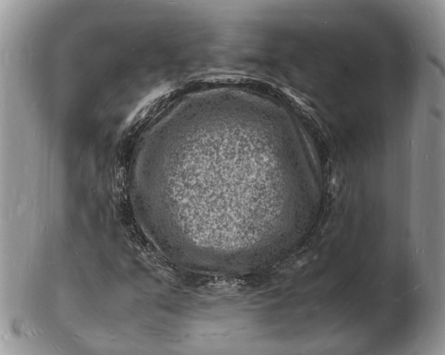 X0000102781351200809021043