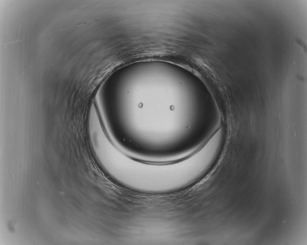 X0000102781353200809021043