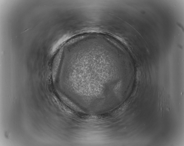 X0000102781359200809021043