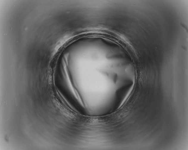 X0000102781360200809021043