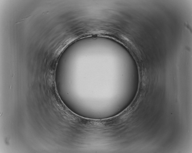 X0000102781361200809021043