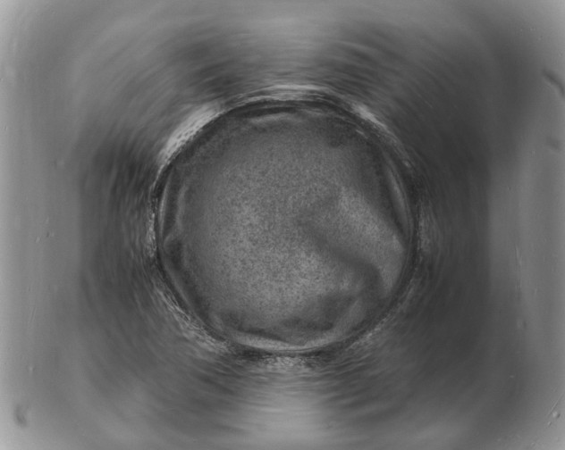 X0000102781362200809021043