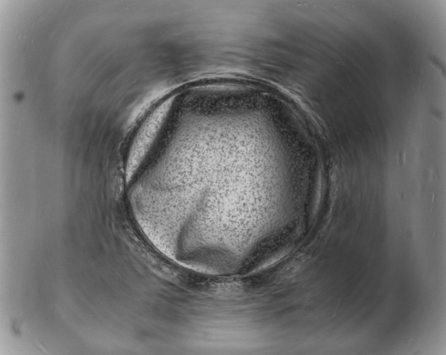 X0000102781363200809021043