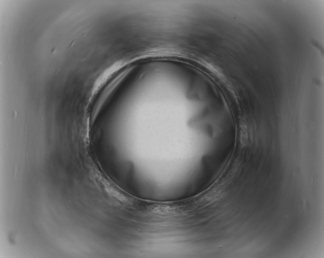 X0000102781366200809021043