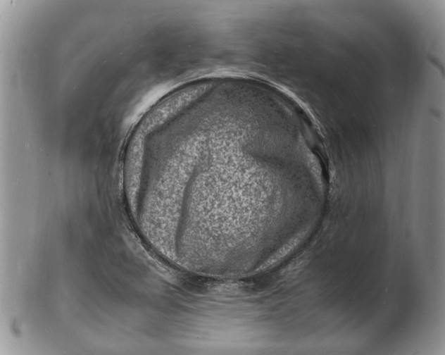 X0000102781367200809021043