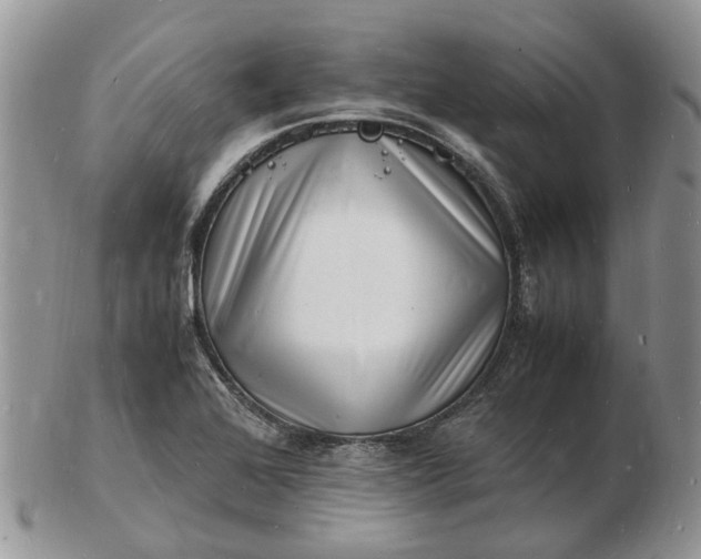 X0000102781368200809021043