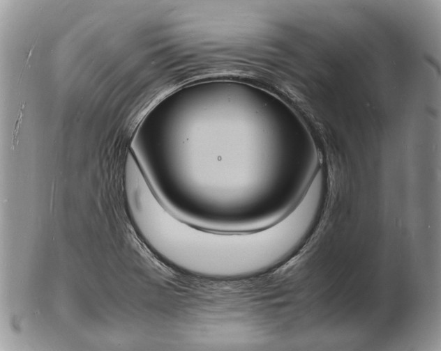 X0000102781369200809021043