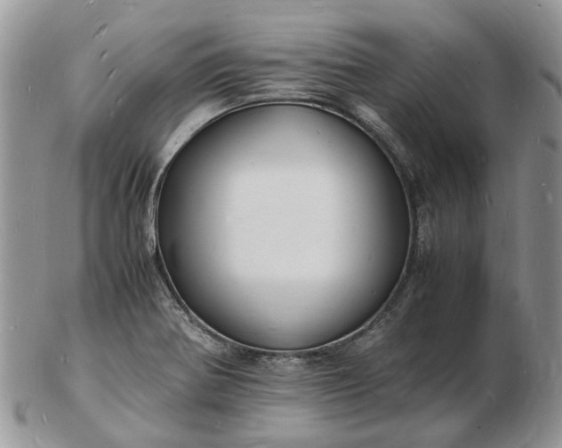 X0000102781370200809021043