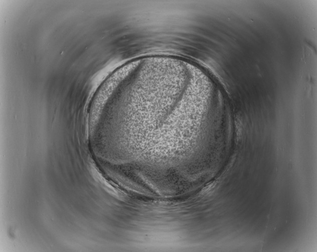 X0000102781371200809021043