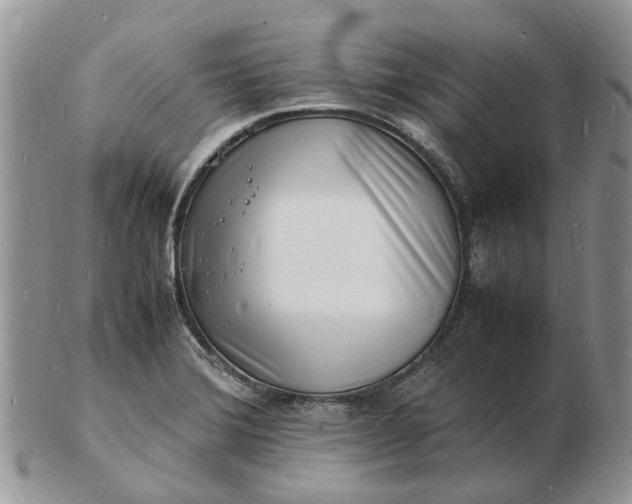 X0000102781372200809021043