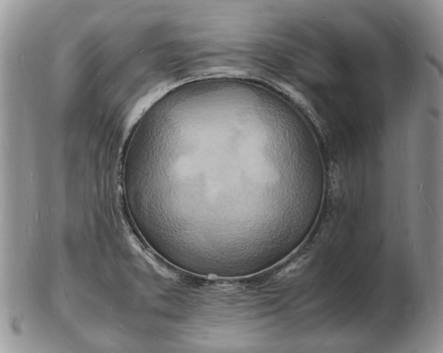 X0000102781373200809021043