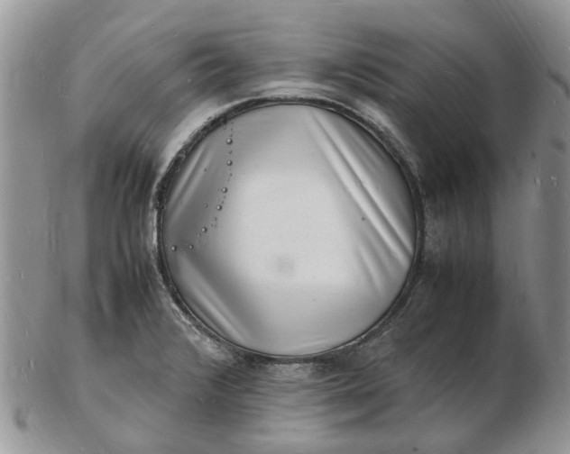 X0000102781376200809021043