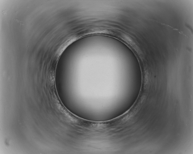 X0000102781377200809021043