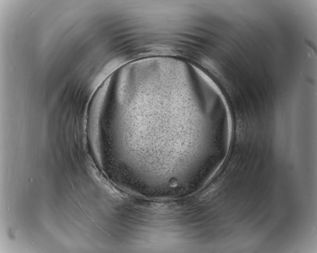 X0000102781378200809021042