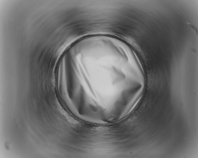 X0000102781380200809021042