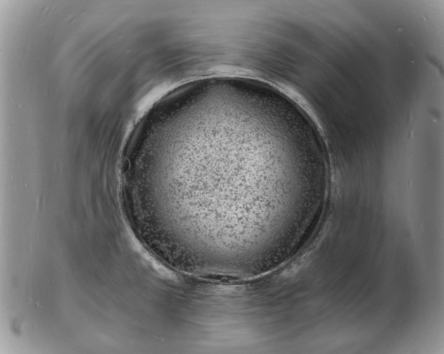 X0000102781381200809021042