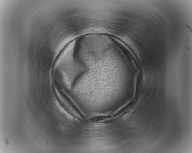 X0000102781382200809021042