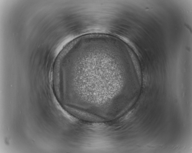 X0000102781383200809021042