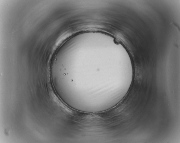 X0000102781384200809021042