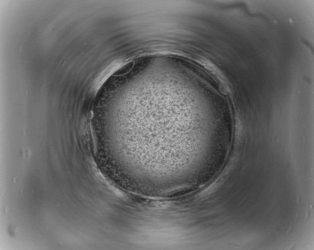 X0000102781385200809021042