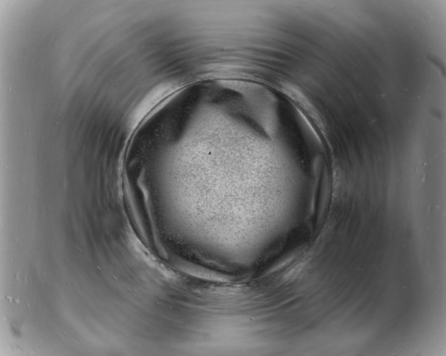 X0000102781386200809021042