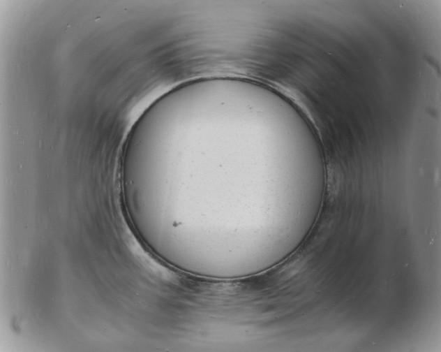 X0000102781387200809021042