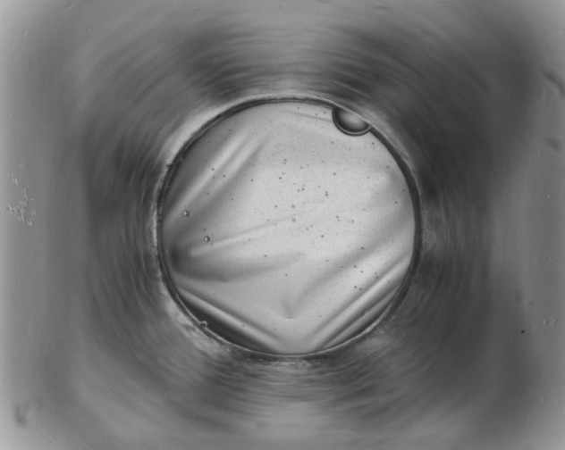 X0000102781388200809021042