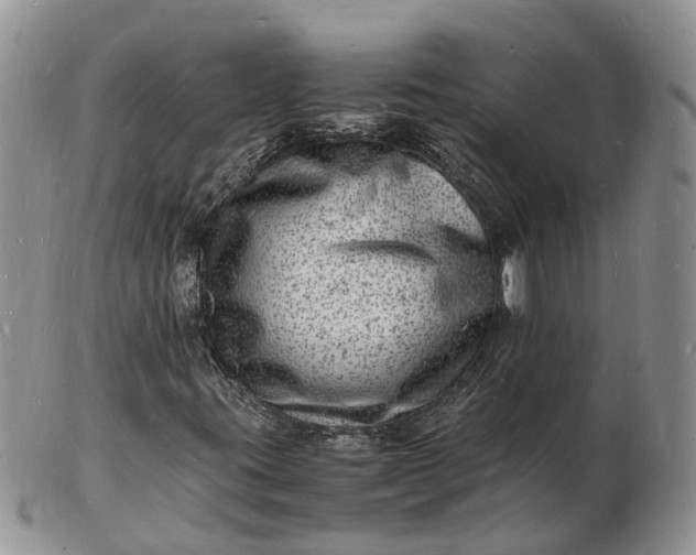 X0000102781395200809021042