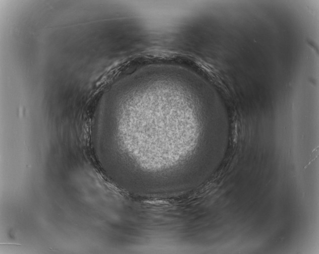 X0000102781397200809021042