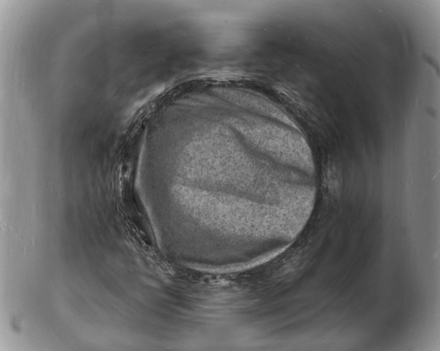 X0000102781398200809021042