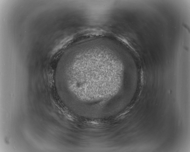 X0000102781399200809021042