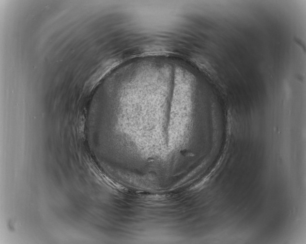 X0000102781401200809021042