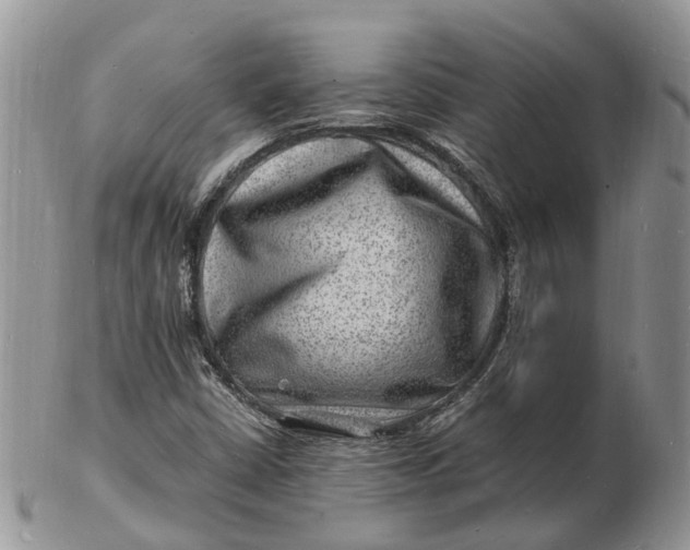 X0000102781402200809021042