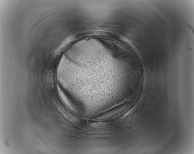 X0000102781403200809021042