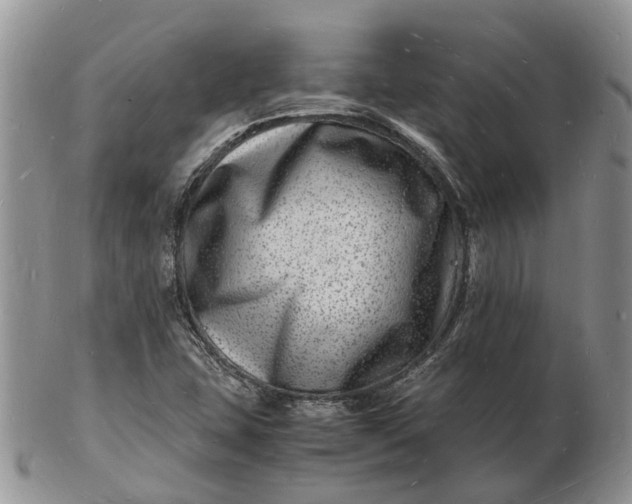 X0000102781407200809021042