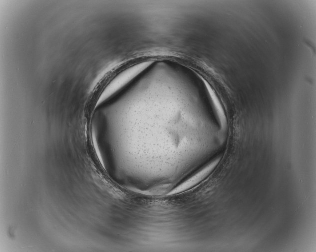 X0000102781408200809021042