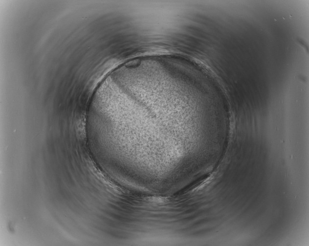 X0000102781409200809021042